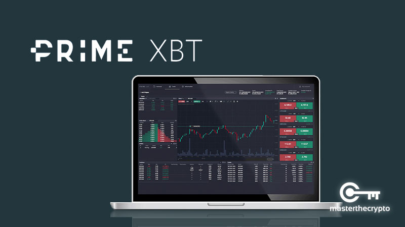 Exploring the PrimeXBT Community A Hub for Traders